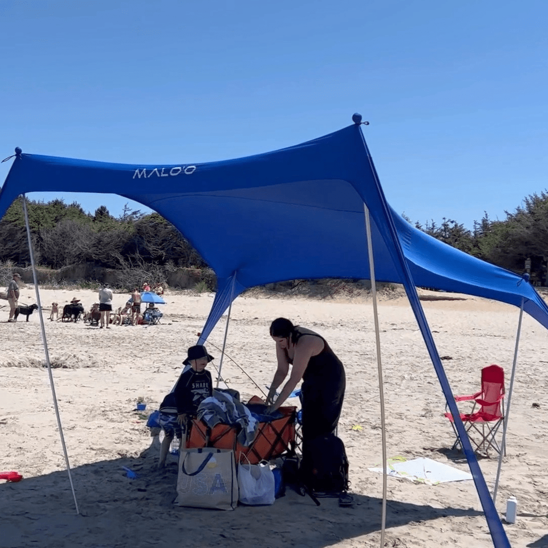 Canopy Tent & Vehicle Awning-2